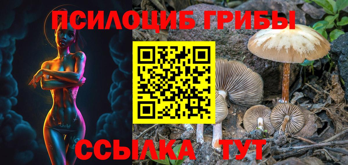 Галлюциногенные грибы Psilocybe Борисоглебск